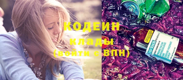 шишки Белокуриха