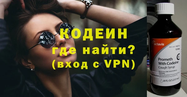 шишки Белокуриха