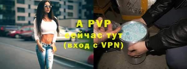 шишки Белокуриха