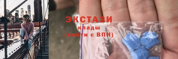 шишки Белокуриха