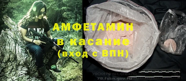 шишки Белокуриха