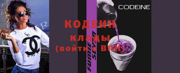 шишки Белокуриха