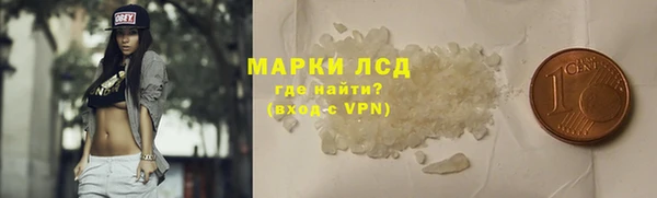 шишки Белокуриха