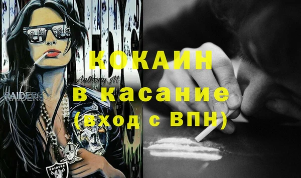 шишки Белокуриха