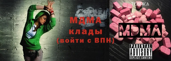 шишки Белокуриха