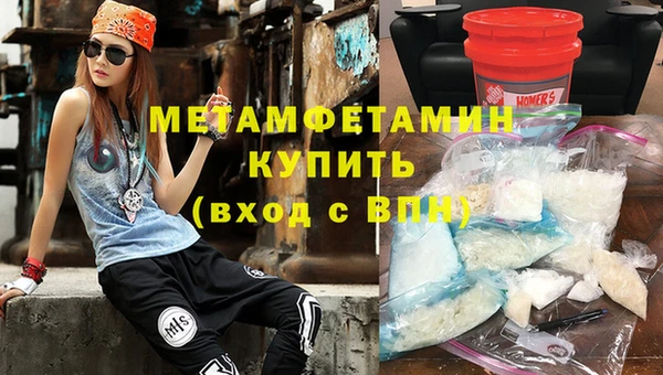 шишки Белокуриха
