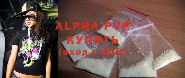 шишки Белокуриха