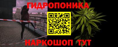 прущая мука Гатчина