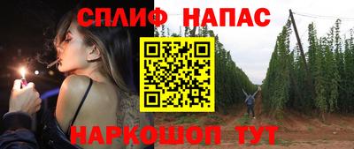 дурь Гай