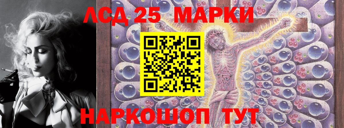 Лсд 25 Гай
