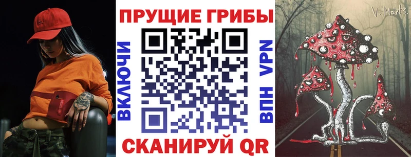 где купить наркоту  Гай  Галлюциногенные грибы MAGIC MUSHROOMS 