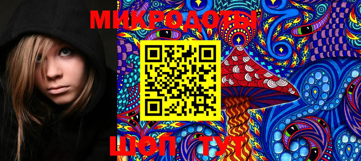 Псилоцибиновые грибы Psilocybe Гай