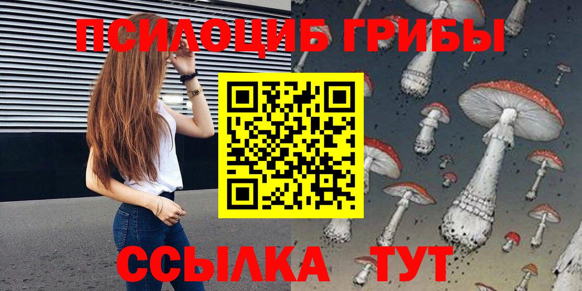 Псилоцибиновые грибы Psilocybine cubensis  Псилоцибиновые грибы MAGIC MUSHROOMS  Вход с VPN  Гай 